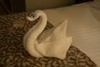 Swan (21kb)